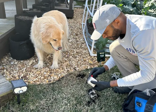 Mission Pest Solutions — customer photo 10
