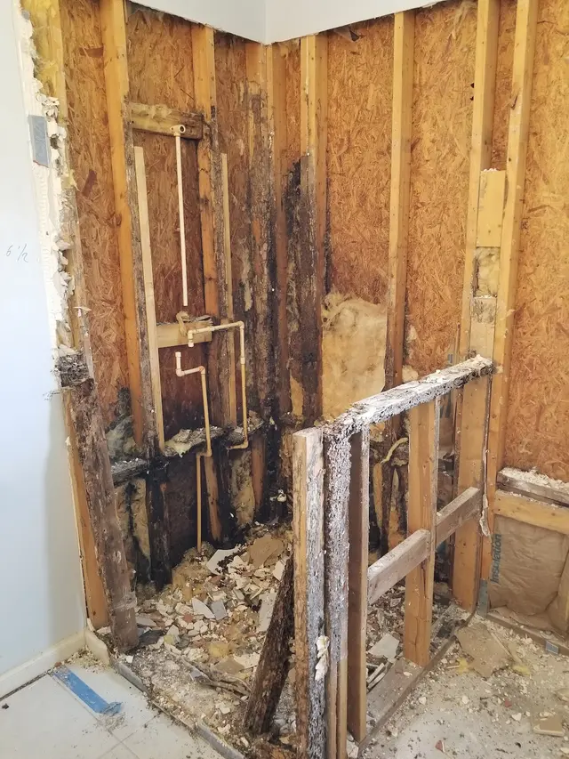 Turner Pest Control — customer photo 10