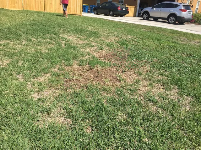 Turner Pest Control — customer photo 3