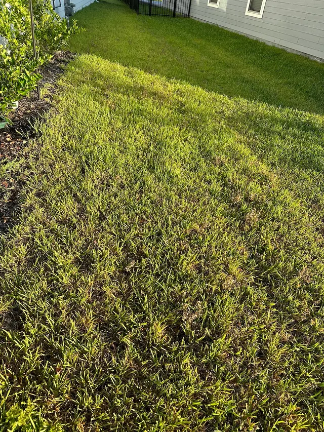 McCall Pest & Wildlife - Jacksonville — customer photo 3
