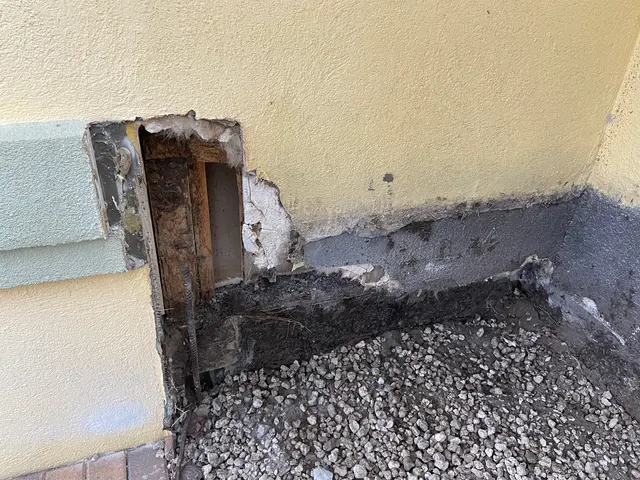 McCall Pest & Wildlife - Jacksonville — customer photo 12