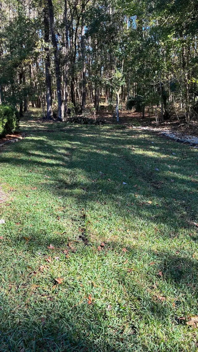 McCall Pest & Wildlife - Jacksonville — customer photo 7