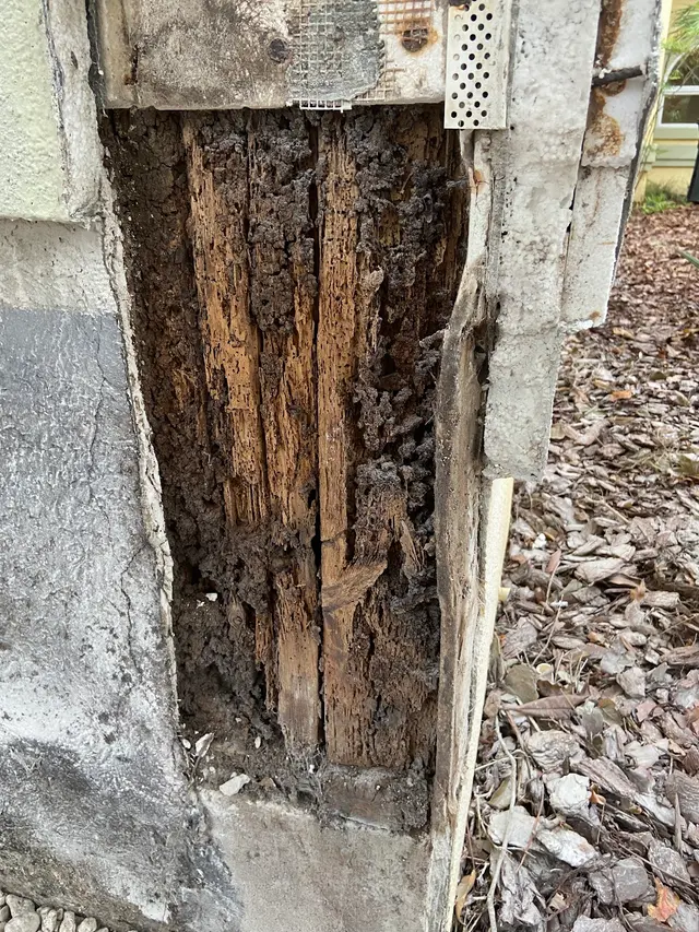 McCall Pest & Wildlife - Jacksonville — customer photo 5