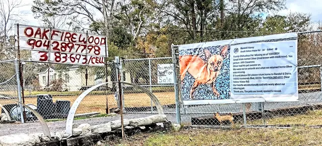 McCall Pest & Wildlife - Jacksonville — customer photo 11