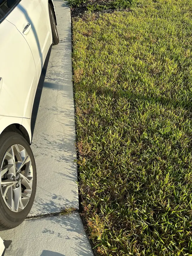 McCall Pest & Wildlife - Jacksonville — customer photo 9