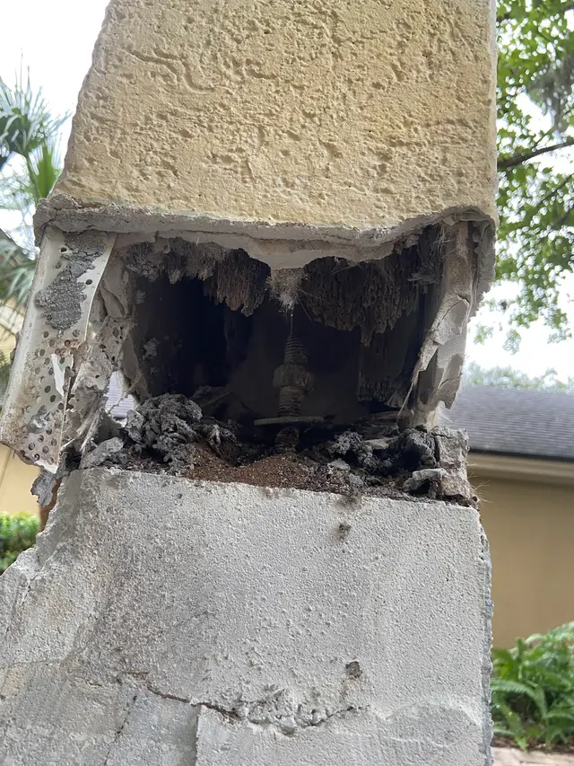 McCall Pest & Wildlife - Jacksonville — customer photo 8