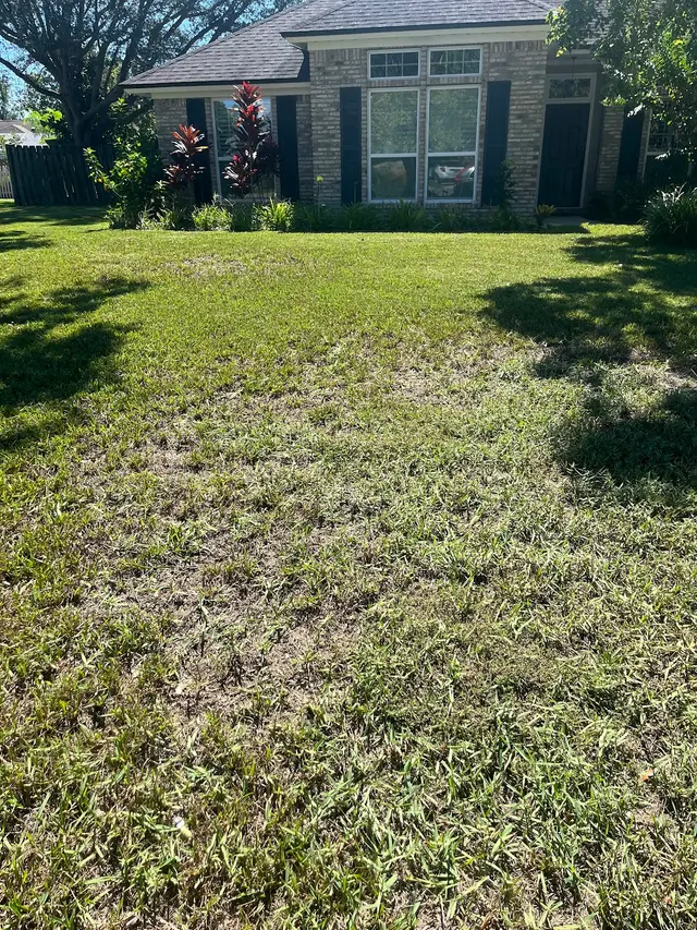 Trad's Pest Control — customer photo 8