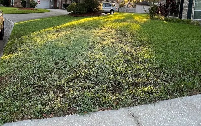 Trad's Pest Control — customer photo 12