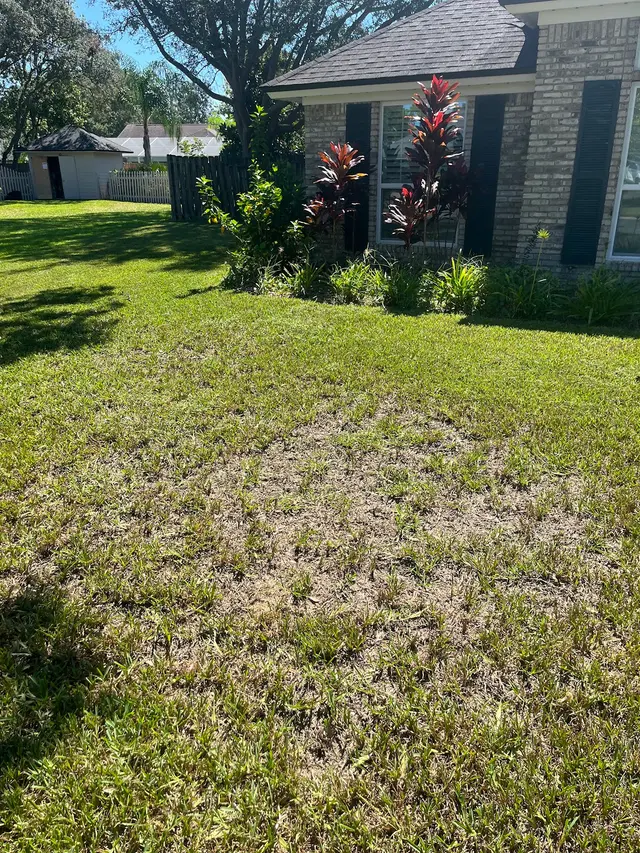 Trad's Pest Control — customer photo 9