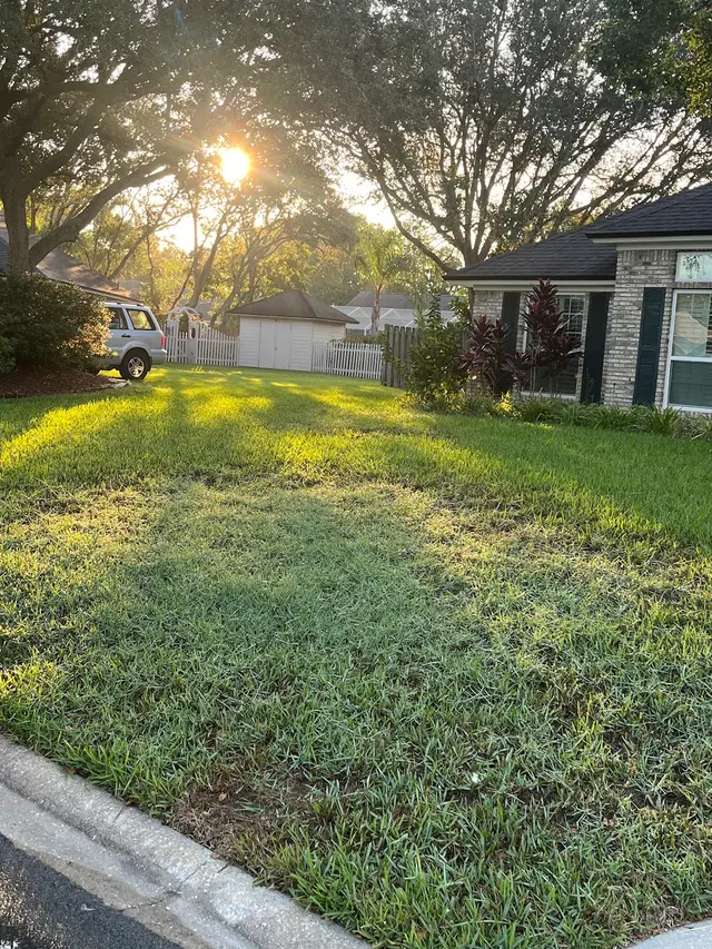 Trad's Pest Control — customer photo 11