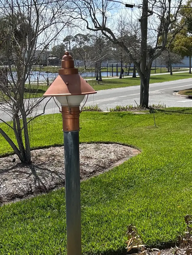 Trad's Pest Control — customer photo 7