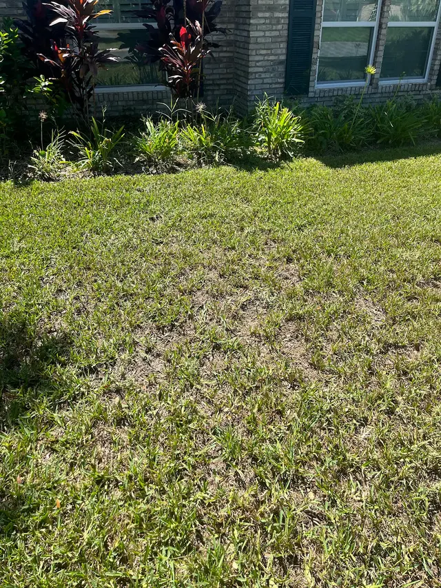 Trad's Pest Control — customer photo 10