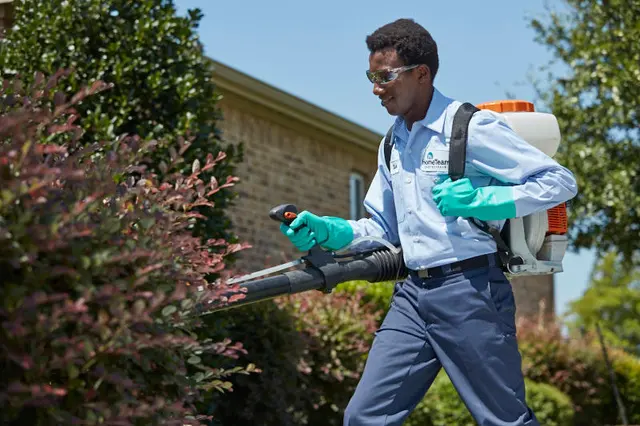 HomeTeam Pest Defense — photo from the business 12
