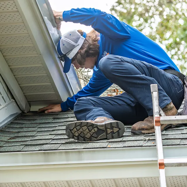 Lindsey Pest Services — photo from the business 12