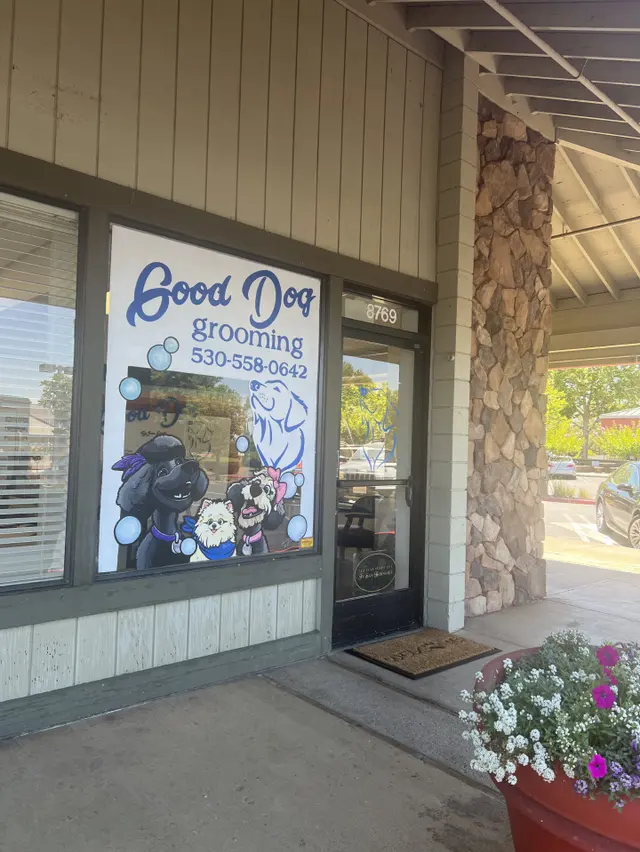 Good Dog Spa & Grooming Granite Bay — photo from the business 7