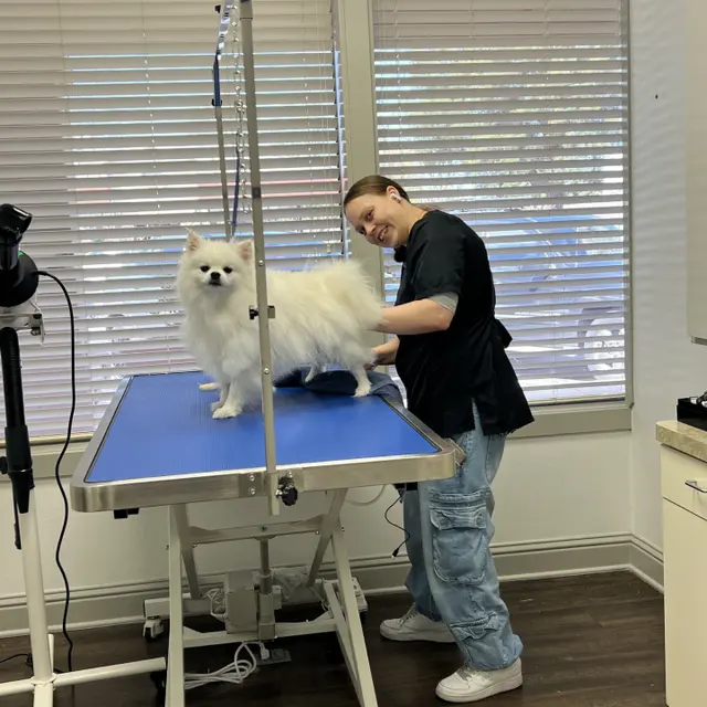 Good Dog Spa & Grooming Granite Bay — photo from the business 3