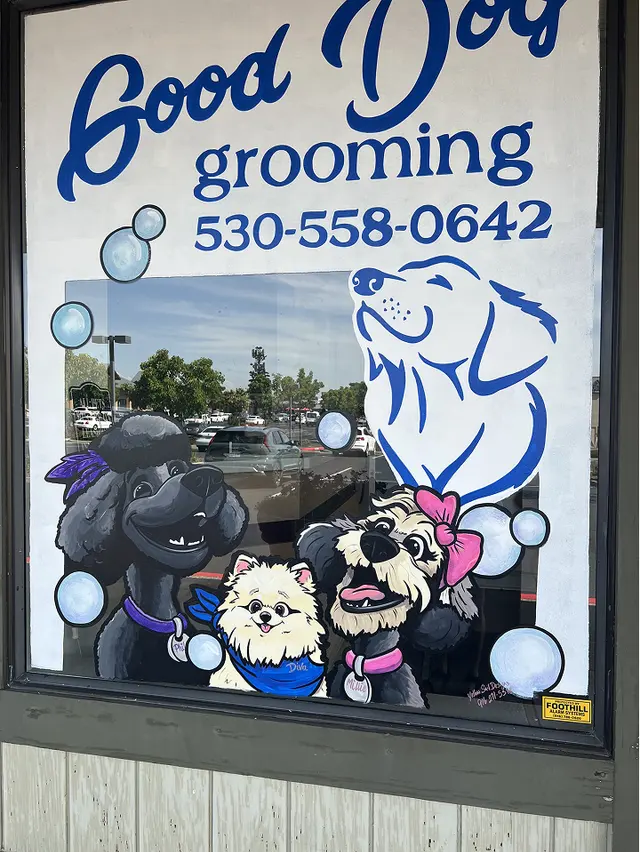 Good Dog Spa & Grooming Granite Bay — photo from the business 12