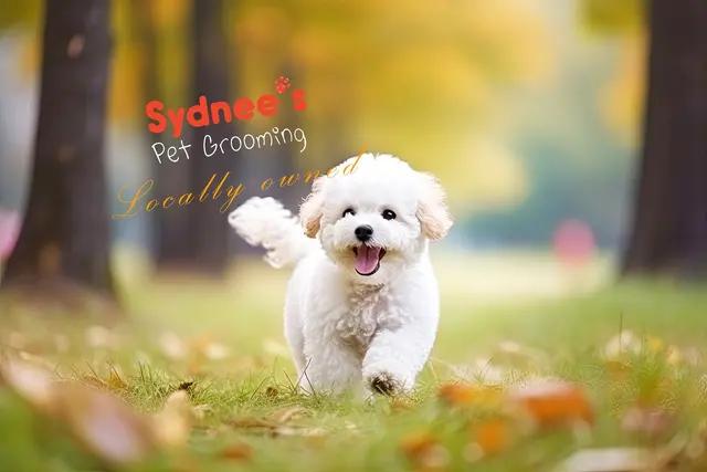 Sydnee's Pet Grooming — photo from the business 1