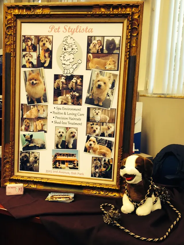 Pet Stylista — photo from the business 11