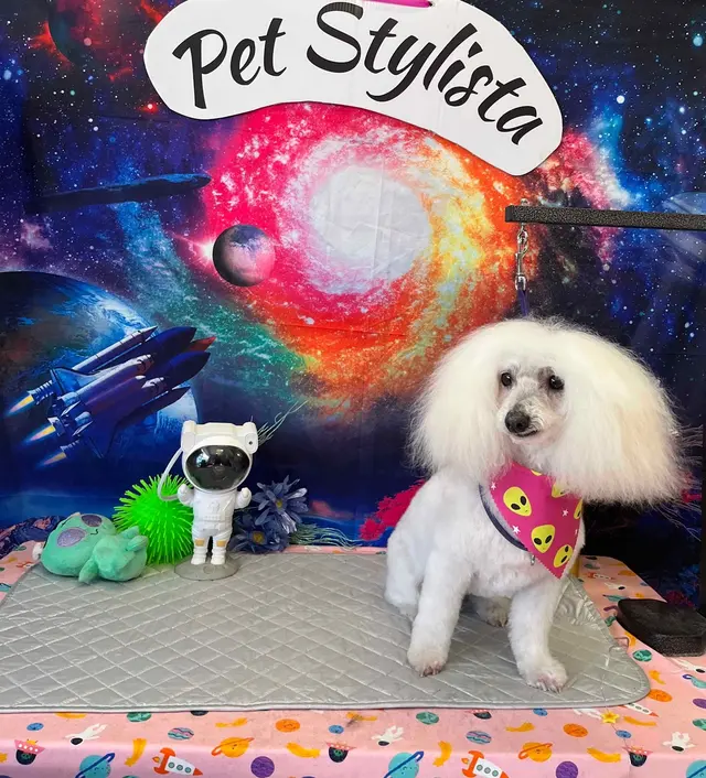 Customer photo of work by Pet Stylista, from Danyel Church's review