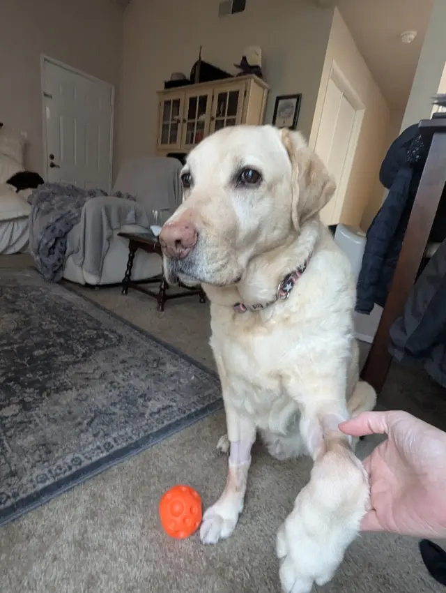 Bath & Biscuits — customer photo 3