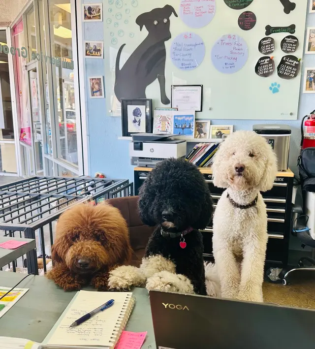Bath & Biscuits — photo from the business 1