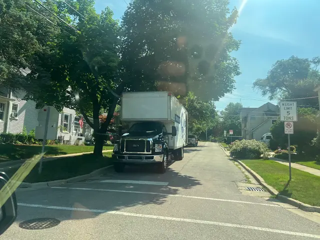 A1 Movers, Inc — photo from the business 2