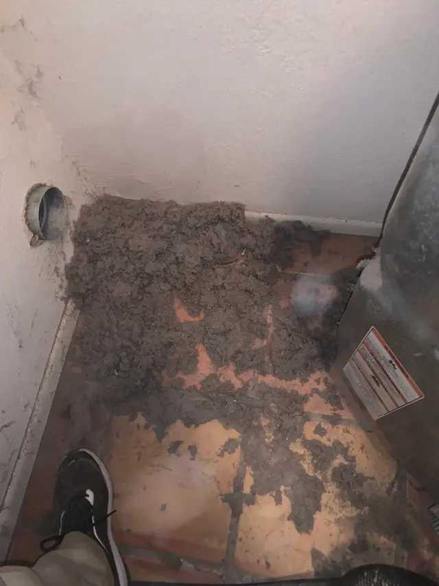 Cedar Creek Dryer Vent Cleaning — photo from the business 9
