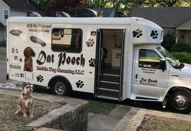 Dat Pooch Mobile Dog Grooming — photo from the business 8