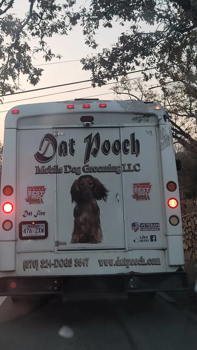 Dat Pooch Mobile Dog Grooming — customer photo 2