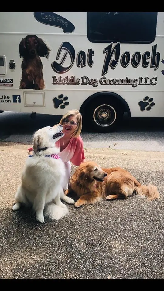 Dat Pooch Mobile Dog Grooming — photo from the business 9
