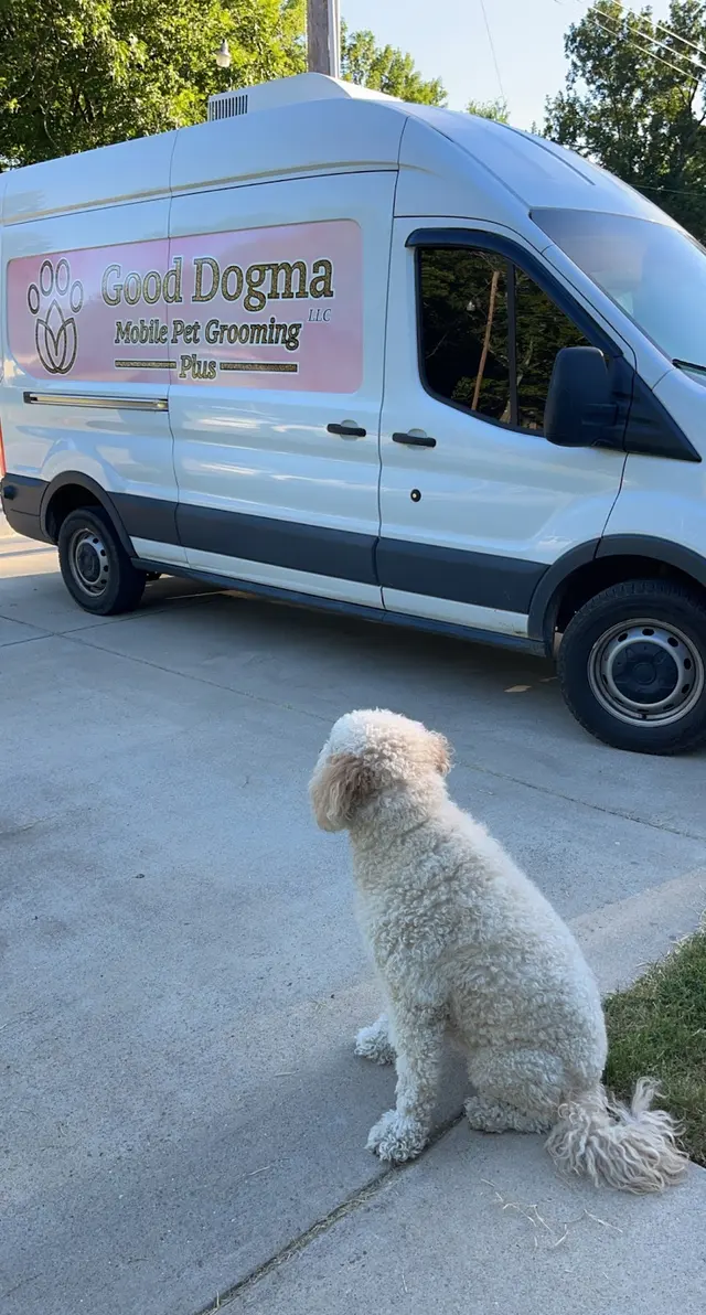 Good Dogma Mobile Pet Grooming — customer photo 4