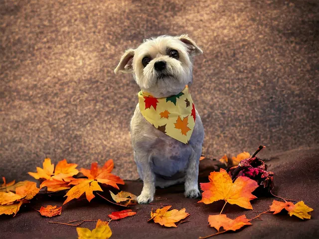 All Fur Beauty LLC — customer photo 3