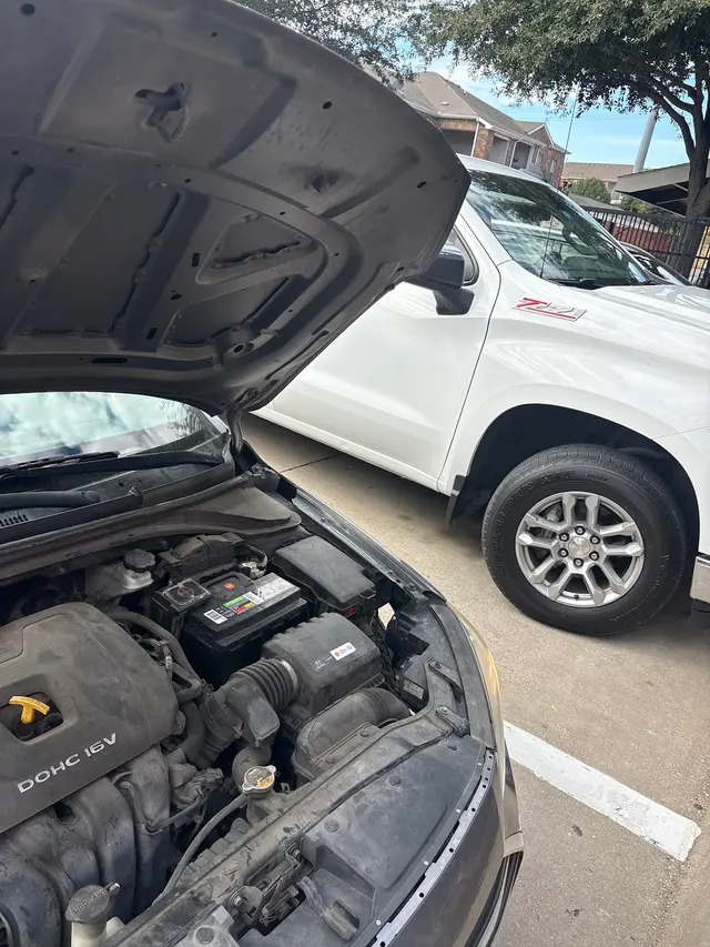 Customer photo from Henrique's review