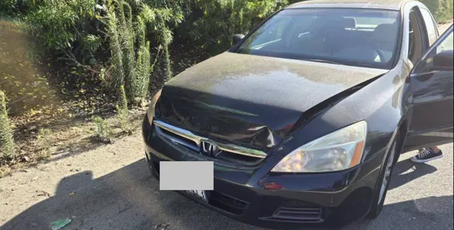 Customer photo of work by Law Office of Asher Hoffman, APC, from HuB CaP's review