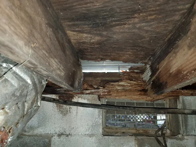 Haines Home Inspections — photo from the business 12