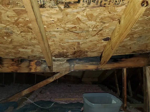 Haines Home Inspections — photo from the business 9