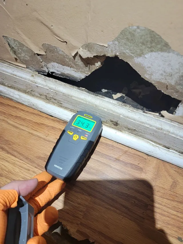 South Star Home Inspections LLC — photo from the business 10