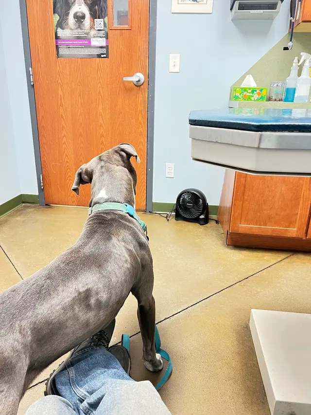 Newton Animal Hospital — customer photo 8