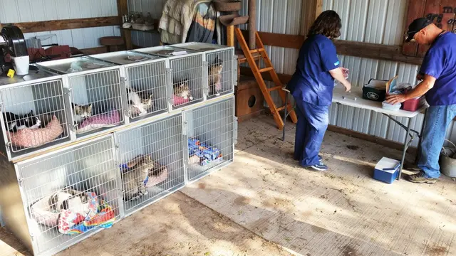 Newton Animal Hospital — customer photo 10