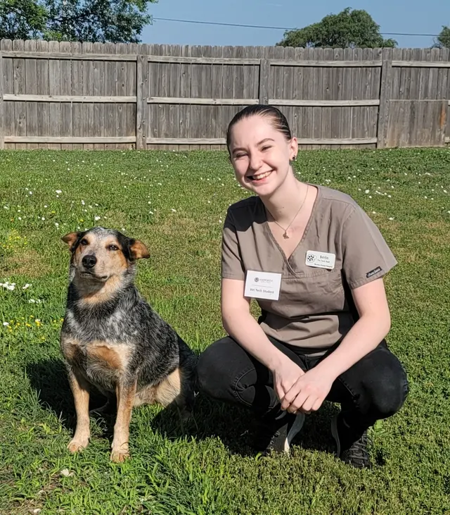 Newton Animal Hospital — photo from the business 3
