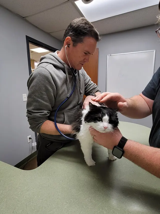 Newton Animal Hospital — photo from the business 2