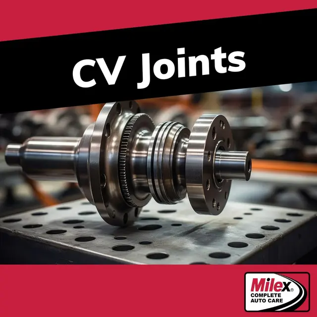 Milex Complete Auto Care — photo from the business 12