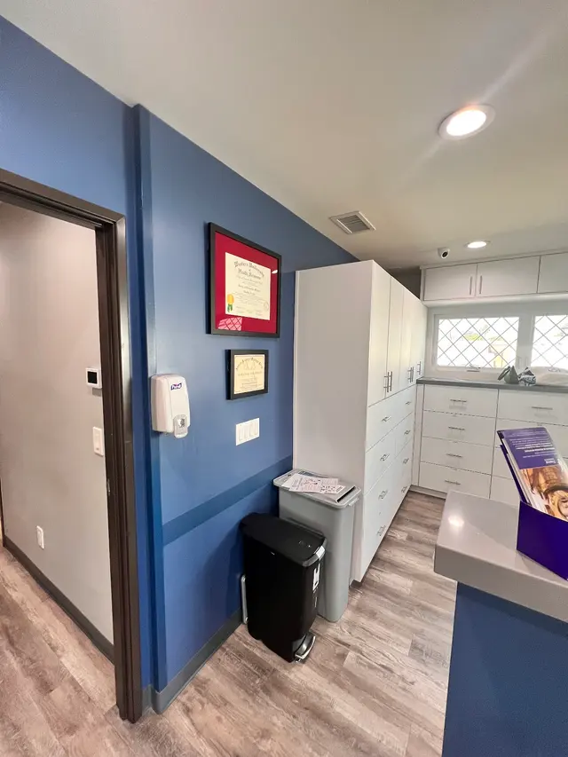 Los Angeles Center for Ear, Nose, Throat and Allergy — photo from the business 1