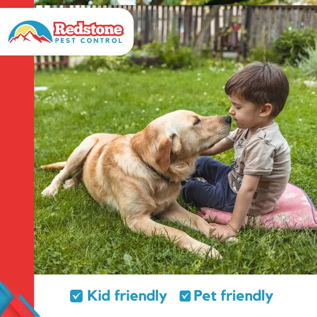 Redstone Pest Control — photo from the business 3