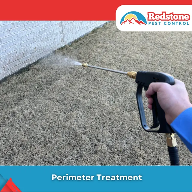 Redstone Pest Control — photo from the business 8