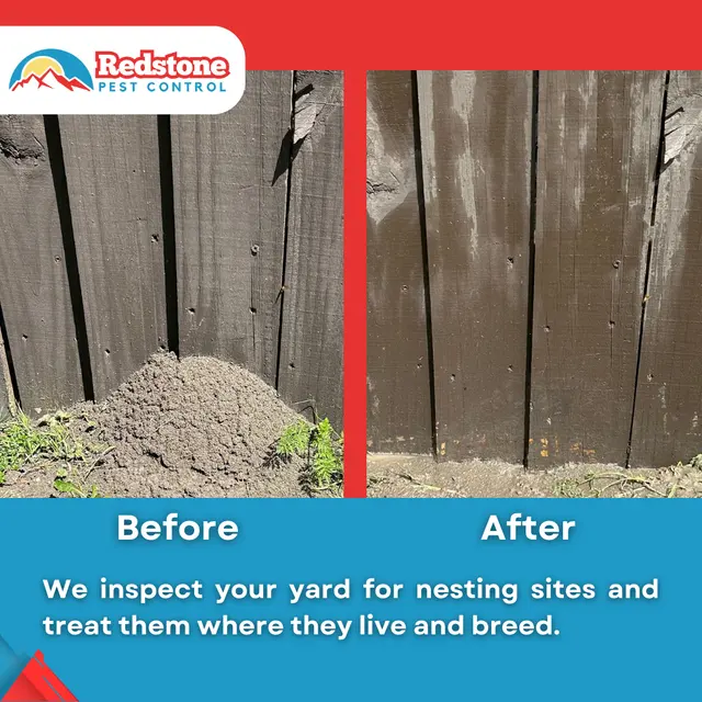 Redstone Pest Control — photo from the business 12