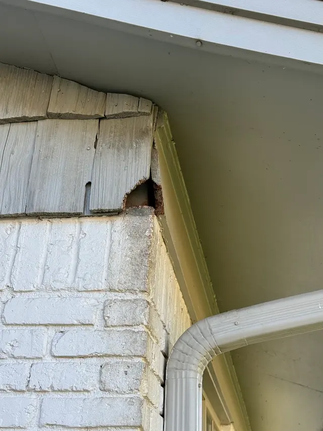 Preferred Pest Management — photo from the business 3