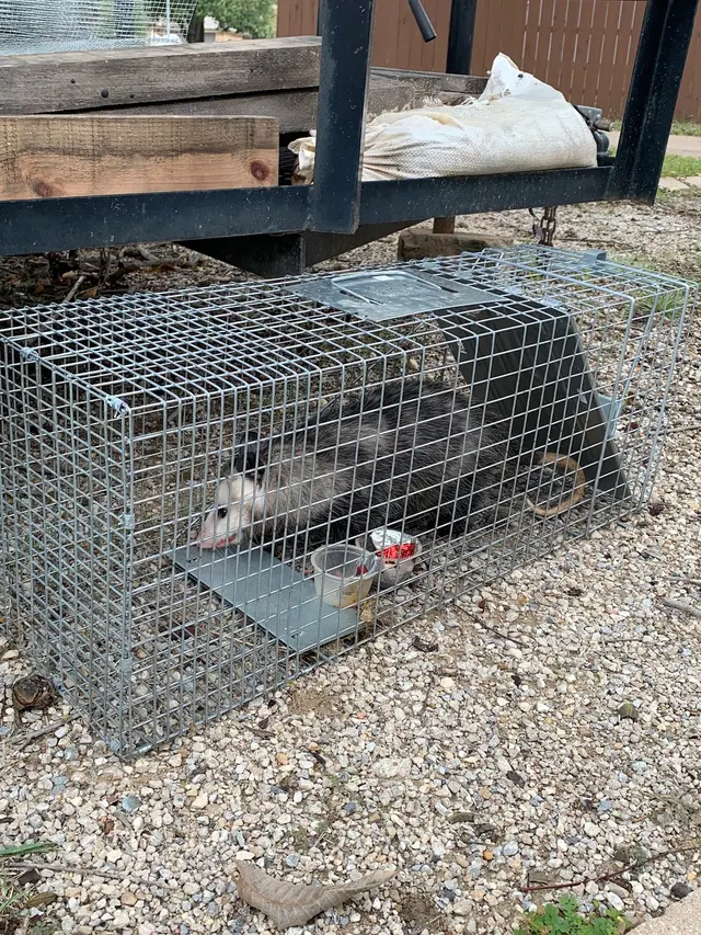Preferred Pest Management — photo from the business 6