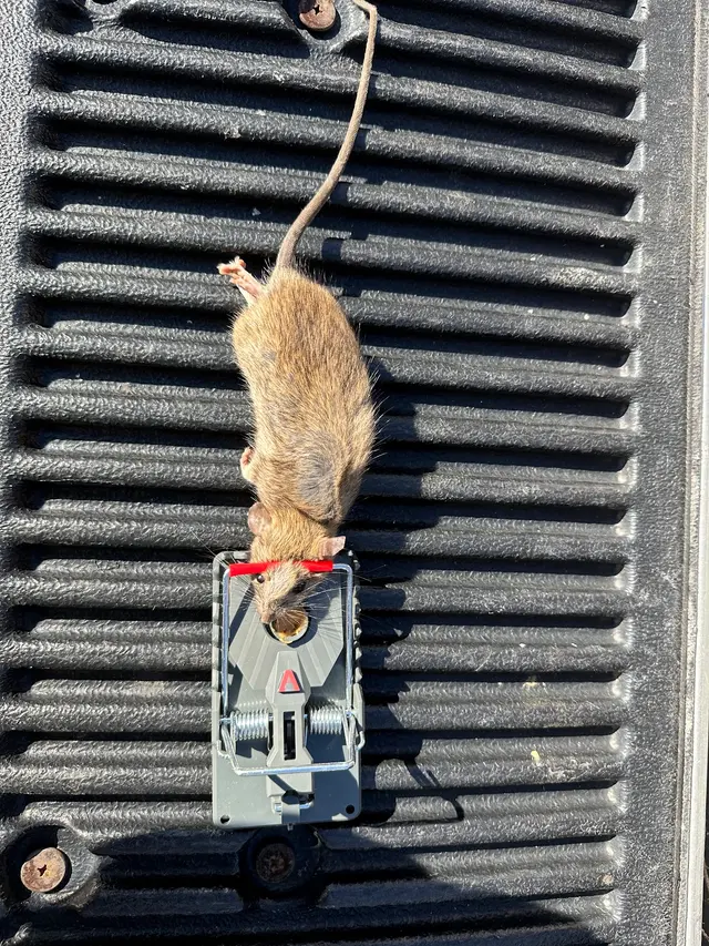 Preferred Pest Management — photo from the business 7